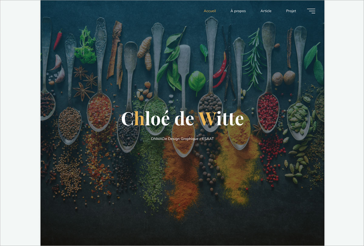 le projet et l'article en ligne de chloé de witte