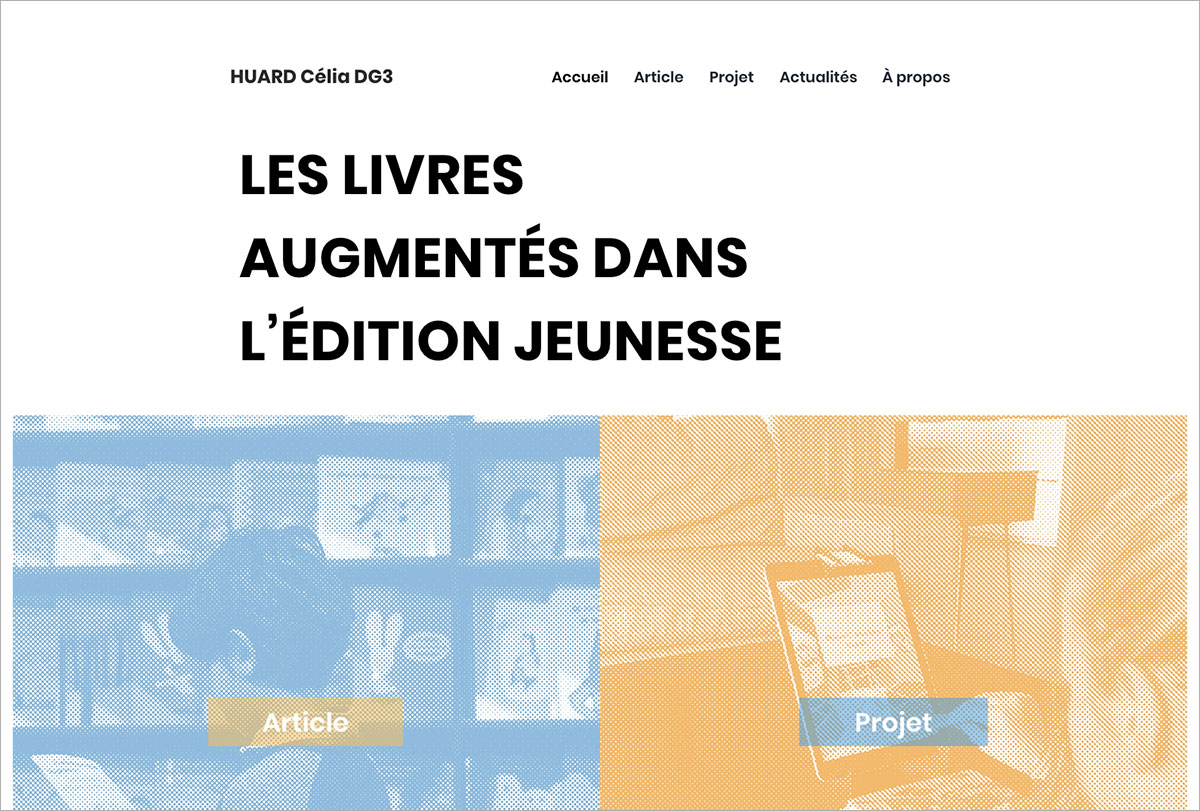 le projet et l'article en ligne de célia huard