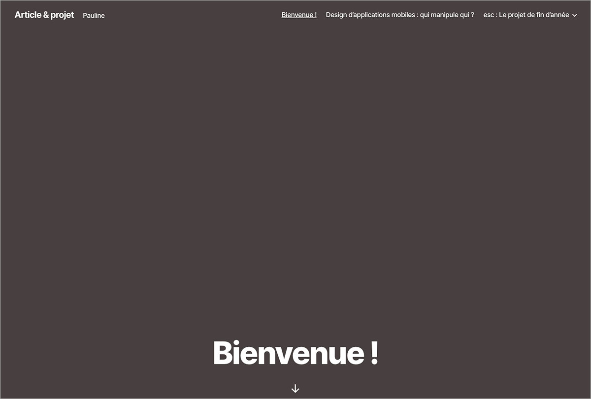le projet et l'article en ligne de pauline ravel