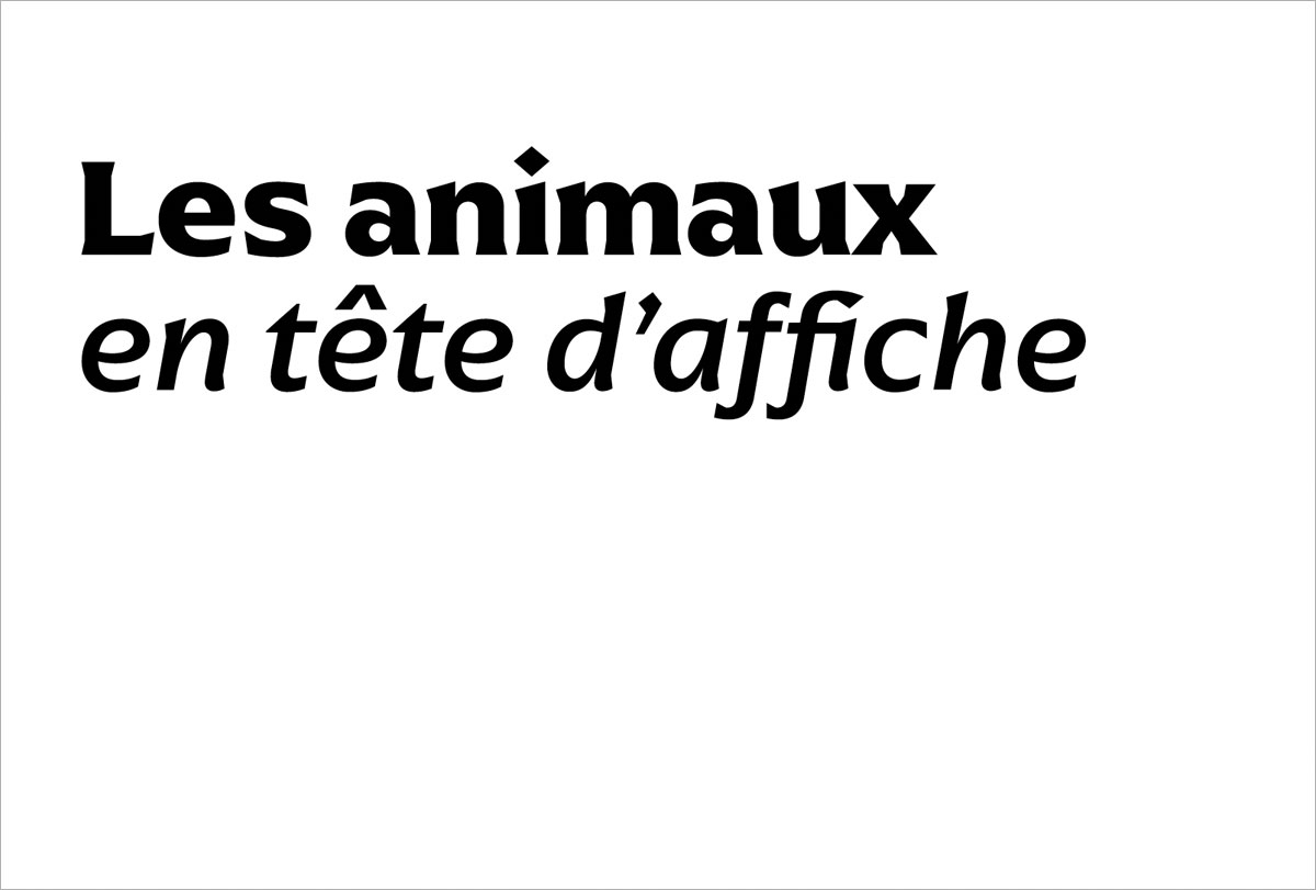 le projet et l'article en ligne de alice bely