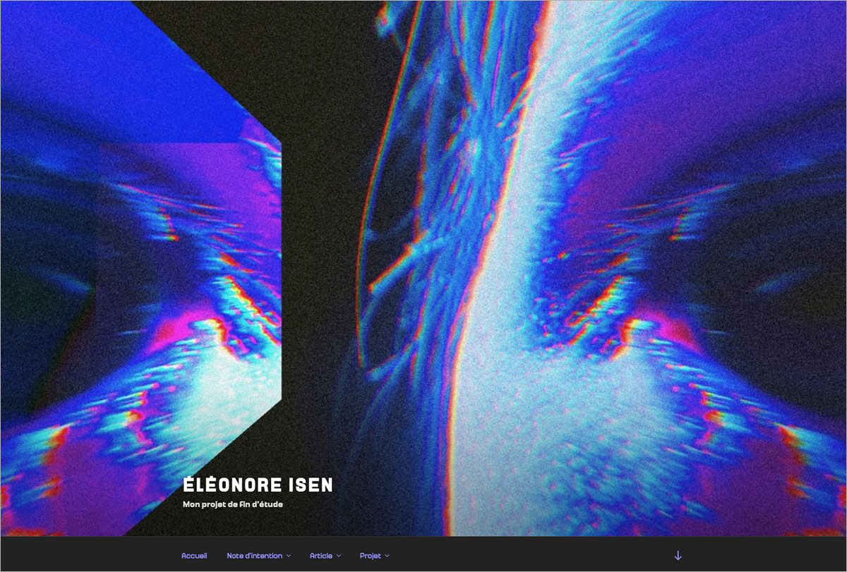 le projet et l'article en ligne de éléonore isen