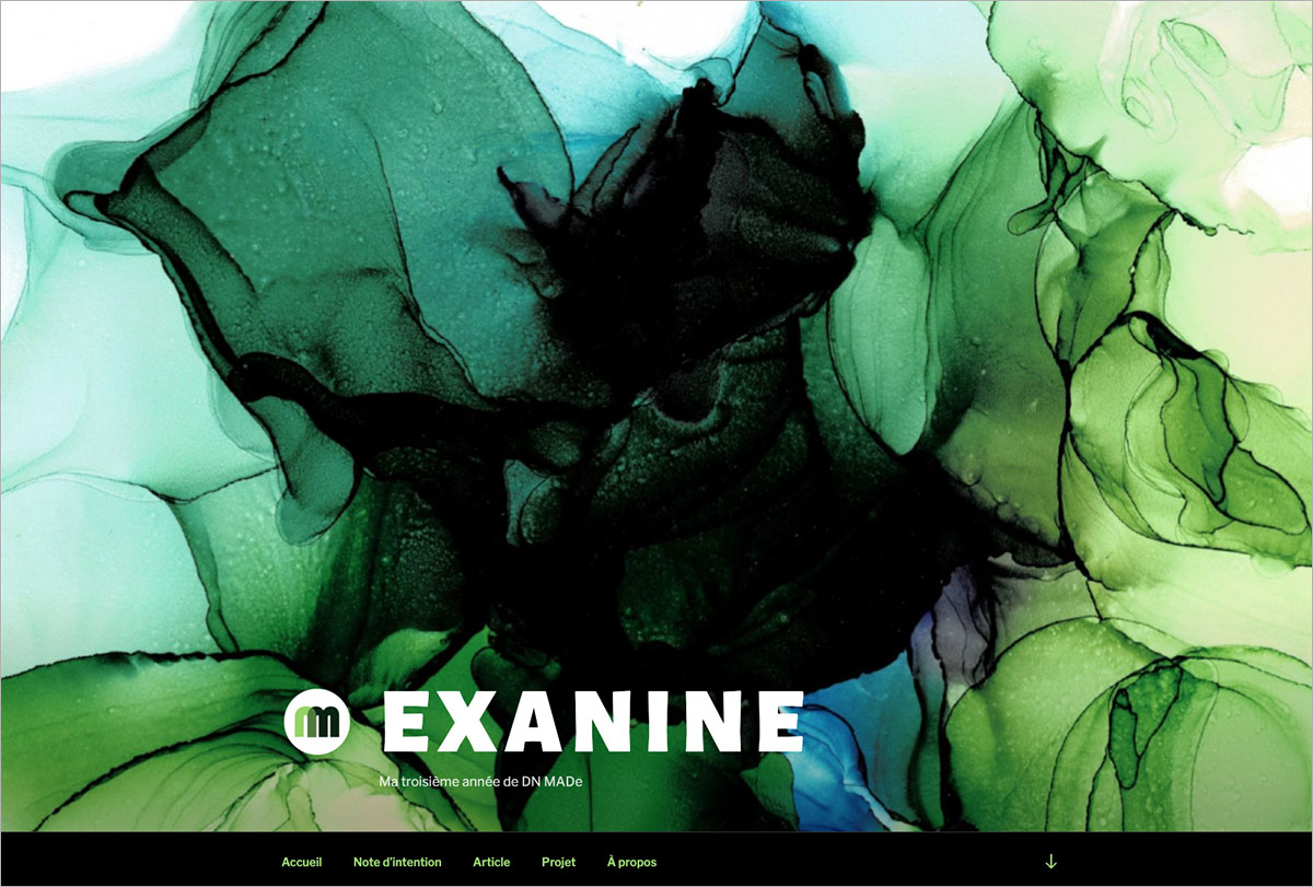 le projet et l'article en ligne de nine mazure