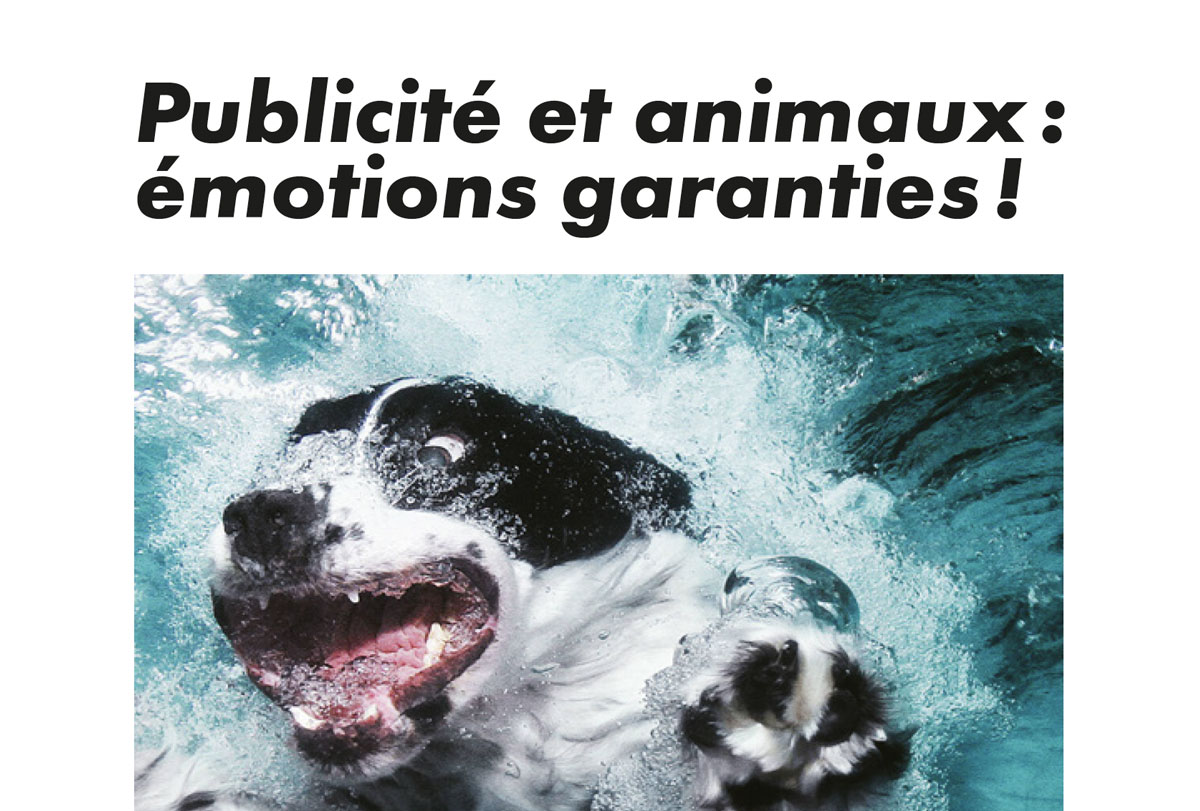 le projet et l'article de marine hanryon