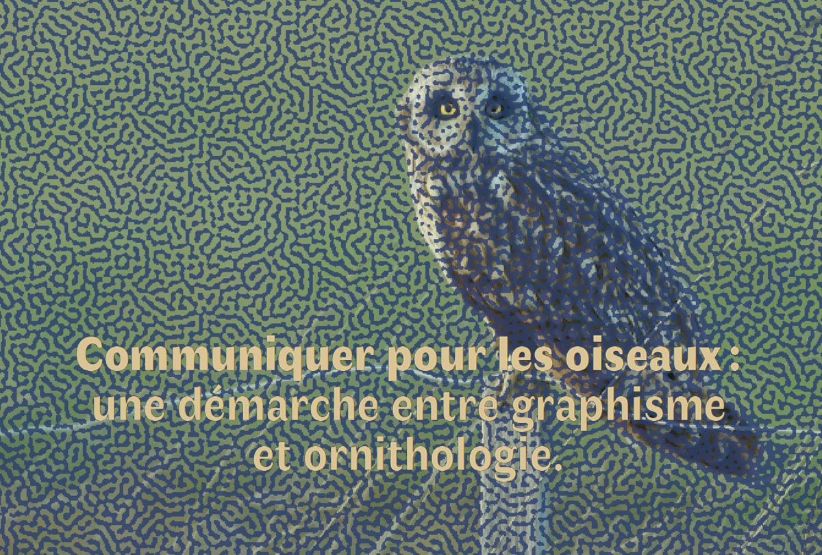 le projet et l'article d'éléonore naert