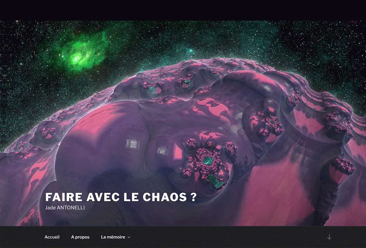 le projet et l'article en ligne de jade antonelli