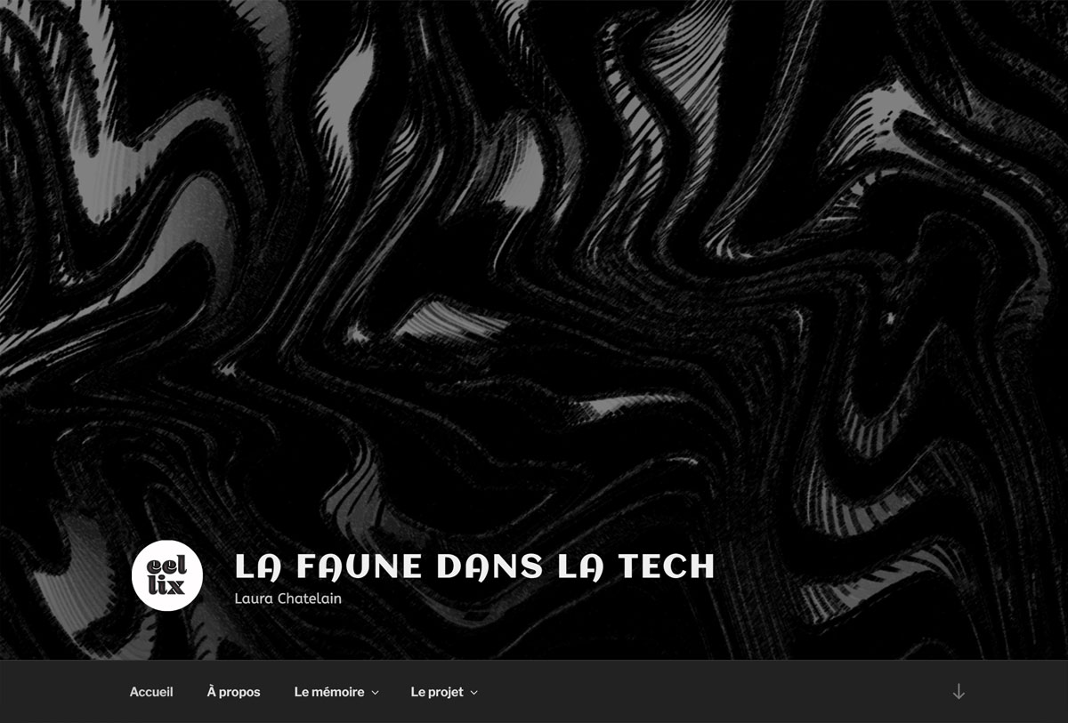 le projet et l'article en ligne de laura chatelain