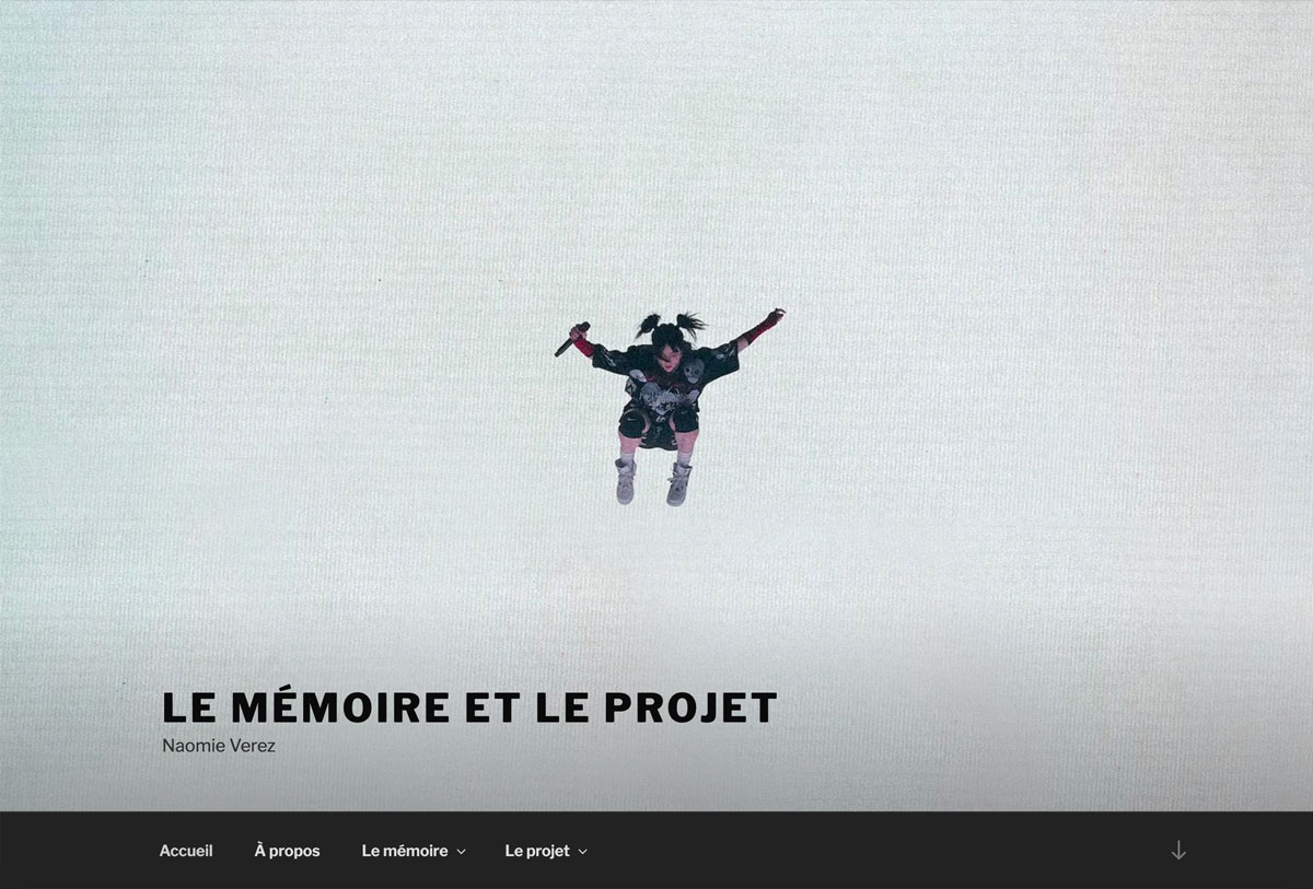 le projet et l'article en ligne de naomie verez