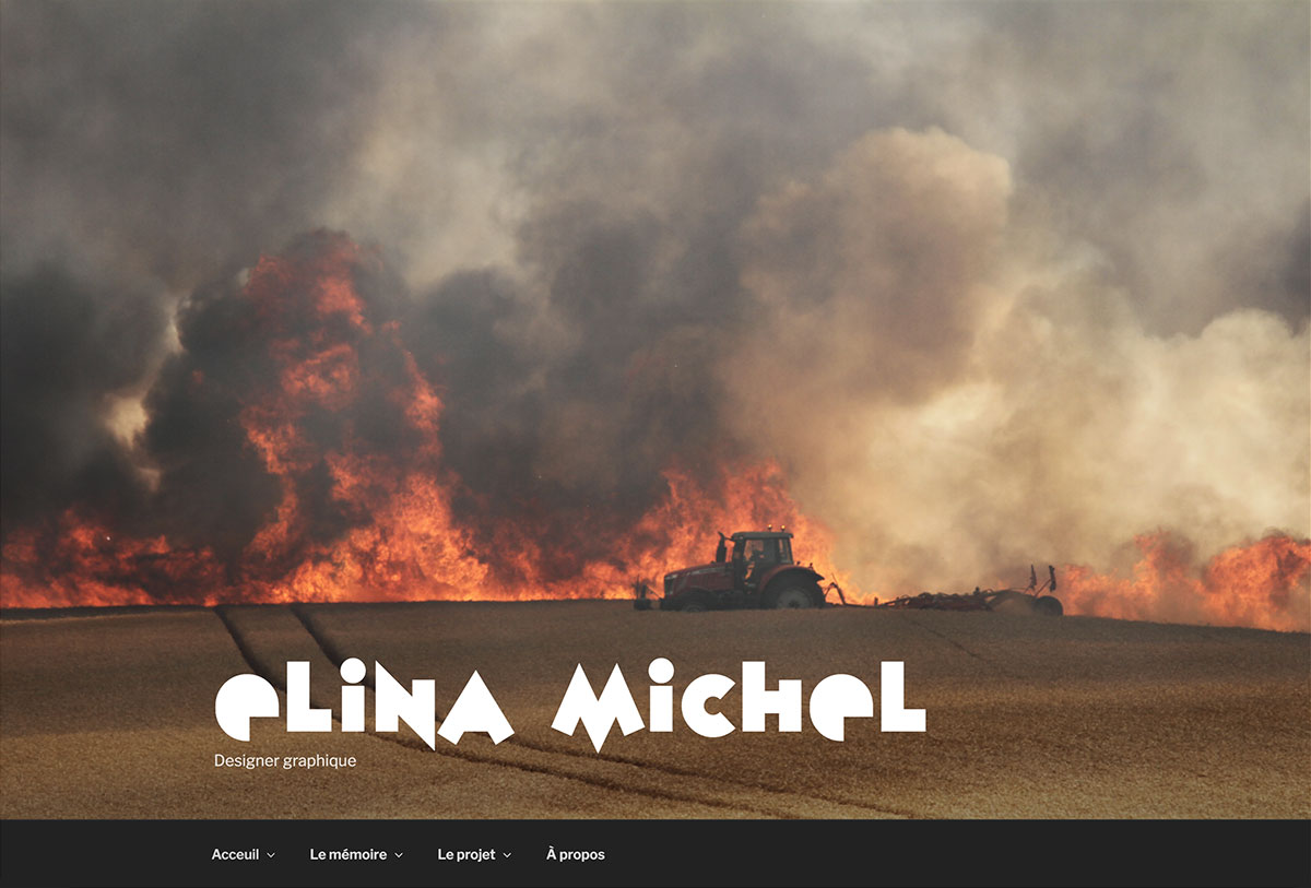 le projet et l'article en ligne d'élina michel