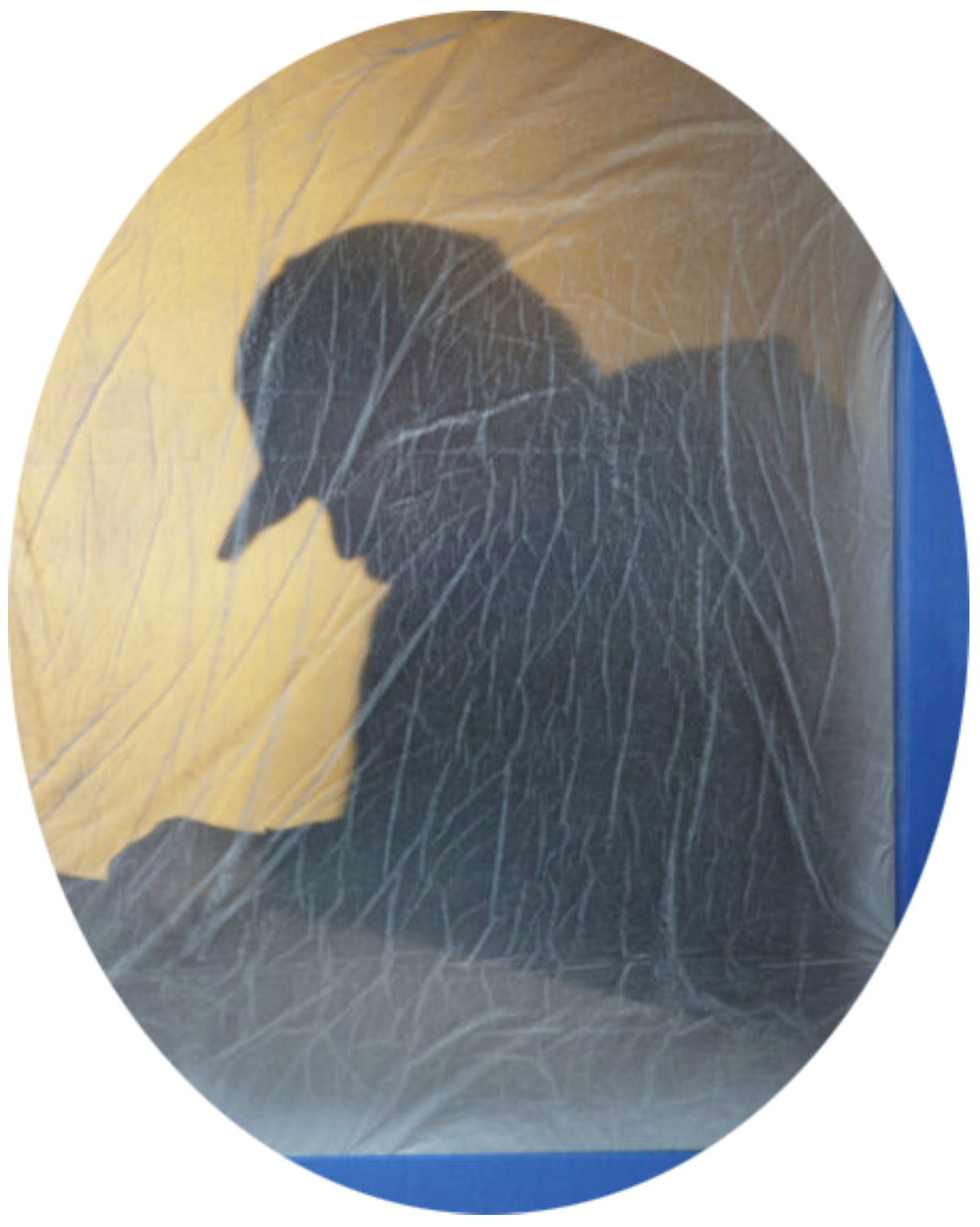 série photographique : the workers, réalisée par le photographe arne svenson en 2014