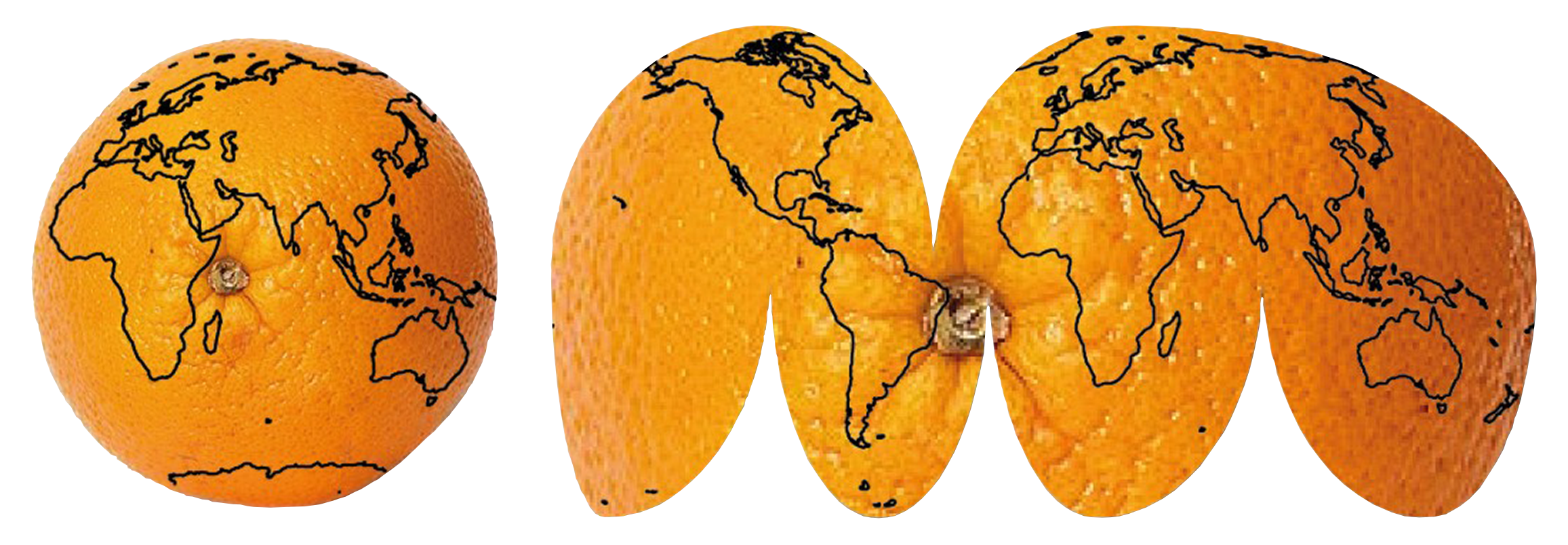 la projection déforme⁥: application sur une orange déroulée